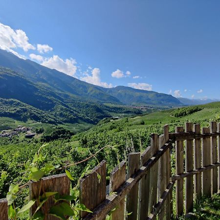 Villa Bio Agritur Al Bait Altspaur Exterior foto